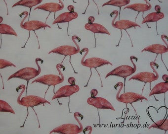 15,00 EUR/m Jersey Flamingo auf weiß Baumwolljersey