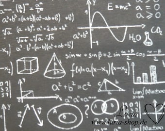 May include: A black chalkboard with white chalk drawings of various mathematical formulas, equations, and geometric shapes. The text "E=mc²" and "H₂O" are also written on the board.