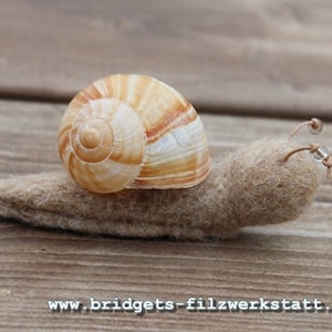Könnte beinhalten: Eine braune Filzschnecke mit einer beige-braunen Schale. Die Schnecke hat zwei kleine, durchsichtige Perlenaugen.