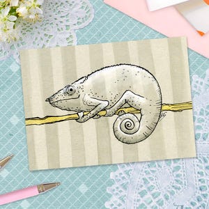 Cartão Postal -Camaleão-