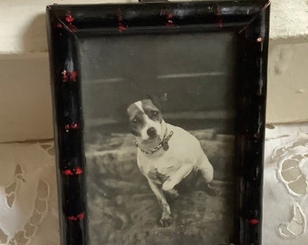 antike Hunde Fotografie gerahmt fertiges Geschenk