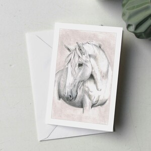57HR002 - Carte de voeux d'un beau cheval blanc
