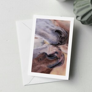 57HR010 - Wenskaart met twee paarden die een verbinding maken
