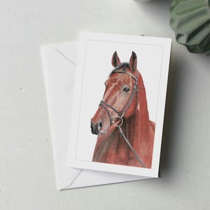 57HR003 - Carte de voeux d'un cheval nommé Aramis