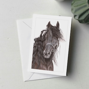 57HR001 - Carte de voeux représentant un cheval frison nommé Spring
