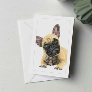57AN021 - Grußkarte einer Französischen Bulldogge