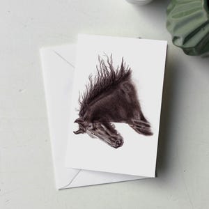 57HR006 - Carte de voeux d'un étalon frison