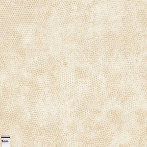 Könnte beinhalten: Nahaufnahme eines beigefarbenen Stoffes mit einem sich wiederholenden Muster aus kleinen braunen Punkten und Kreisen. Eine Skala ist am unteren Rand des Bildes angebracht und misst 1 cm.