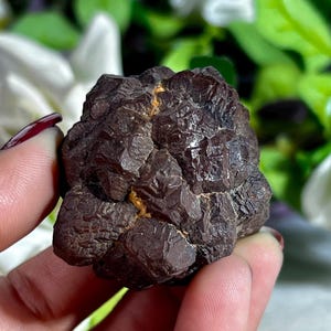 Piedra abstracta con púas de la profecía procedente de Egipto, 127 gramos, visión interior, piedra para el trabajo con los sueños, colección de rocas.