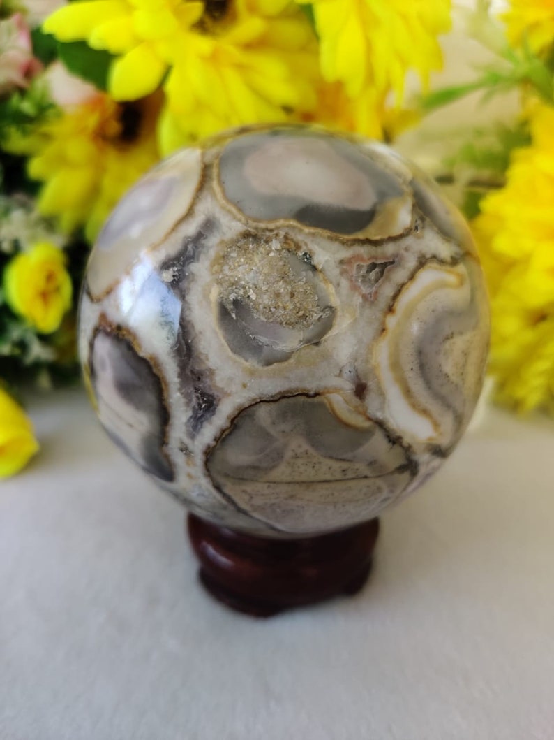 Beautiful King Cobra Jasper Stone Healing Charged Spirit Etsy