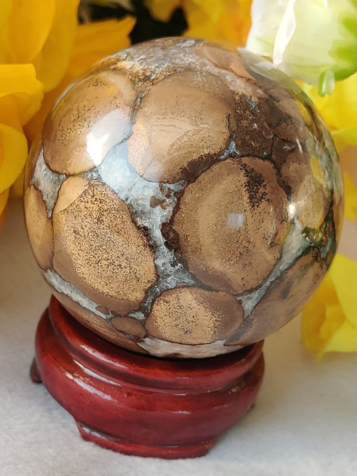 Beautiful King Cobra Jasper Stone Healing Charged Spirit Etsy