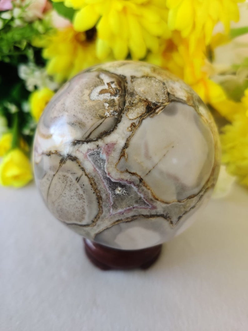 Beautiful King Cobra Jasper Stone Healing Charged Spirit Etsy