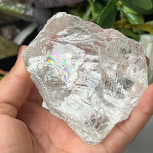 1265 Carat Phenakite Crystal: Rainbow Record Keeper, Ascension Healing Stone