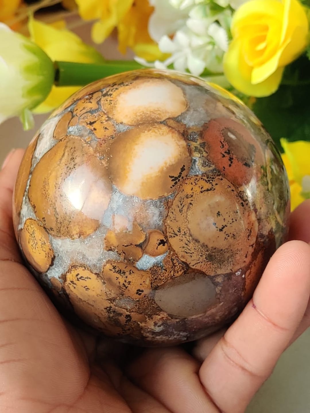 Beautiful King Cobra Jasper Stone Healing Charged Spirit Etsy