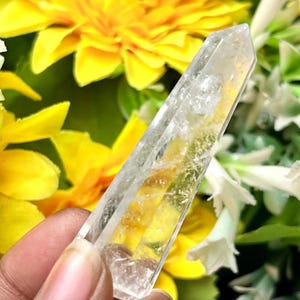 May include: A clear quartz crystal point, held against a backdrop of yellow and white flowers. The crystal is transparent with internal fractures and a pointed tip, showcasing natural formations. The background features bright yellow blooms and green foliage.