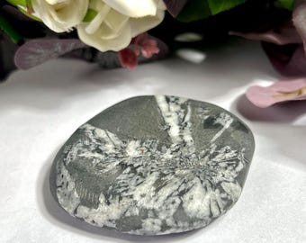 Chrysanthemum Palm Stone Crystal: Rare Flower Stone, Chakra Healing (143 Grams