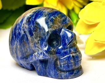 Hand Carved Sodalite Stone Skull: Healing Crystal Decor (87 Grams)