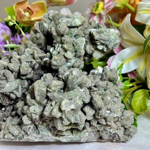 Könnte beinhalten: Nahaufnahme eines graugrünen Mineralexemplars mit kristalliner Struktur. Das Mineral ist von bunten Blumen, darunter Orchideen und Lilien, umgeben, wodurch eine natürliche Darstellung entsteht.