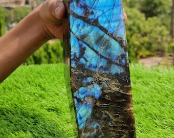 May include: A tall, rectangular labradorite crystal with a polished, faceted top. The stone displays iridescent blue and teal flashes against a dark, mottled background. The crystal is held against a backdrop of green grass and a blurred outdoor scene.