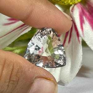 Phenakite Crystal: Ascension Stone, Record Keeper, Healing Gemstone (15 Carat, Tanzania
