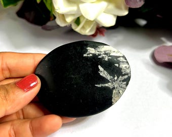 Chrysanthemum Palm Stone Crystal: Rare Flower Stone, Chakra Healing (60 Grams