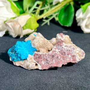 Könnte beinhalten: Ein rohes Mineralexemplar mit einer leuchtend blauen, sternförmigen Kristallgruppe auf einer texturierten Matrix. Der Stein zeigt eine Kombination aus beigen, hellbraunen und tief rotbraunen Erdtönen auf seiner unebenen, gezackten Oberfläche.