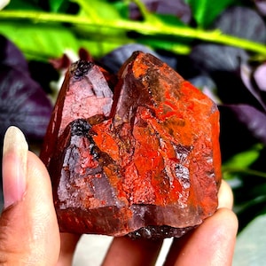 May include: A natural crystal cluster in shades of red and orange. The crystal has a rough, textured surface and a complex structure. The crystal is held in a hand, with a blurred background of green and purple foliage. A unique mineral specimen.