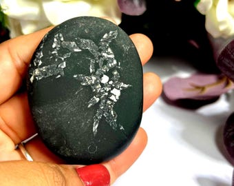 Chrysanthemum Palm Stone Crystal: Rare Flower Stone, Chakra Healing (51 Grams