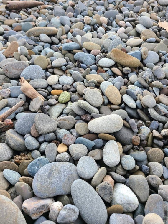 60 Grey/brown Flat Rocks, 2 Inchs to 3 Inches Flat Medium Rocks