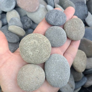 40 grey/brown flat rocks, 1 inch to 2 inch Flat stones,stones, cairn stones, PNW, wedding stone, beach rocks,mother nature,baby shower