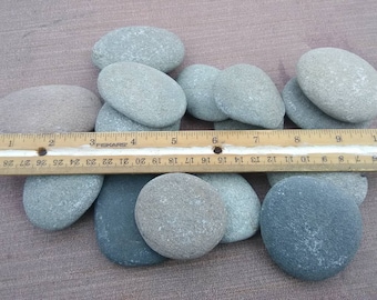 Free shipping 15 grey/brown flat rocks, 2 inchs to 3 inches flat medium rocks, cairn stones, PNW, wedding stone, beach rocks, beach stones