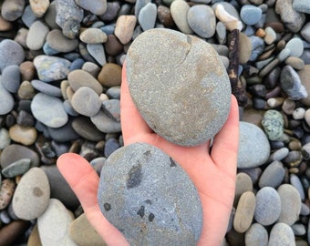 50 Grey/brown Flat Rocks, 2 Inchs to 3 Inches Flat Medium Rocks, Cairn  Stones, PNW, Wedding Stone, Beach Rocks, Nature, Beach Stones 