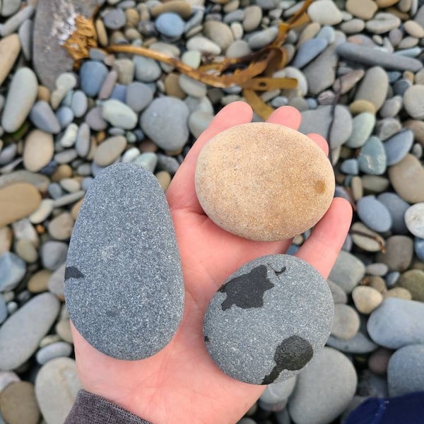 40 flat grey/brown rocks, 2 inchs to 3 inches flat medium rocks, cairn stones, PNW, wedding stone, beach rocks, mother nature,ooak,rock