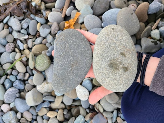 Large 40grey/brown Flat Rocks, 3 Inchs to 4 Inches Flat Medium Rocks, Cairn  Stones, PNW, Wedding Stone, Beach Rocks, Mother Nature,ooak,rock 