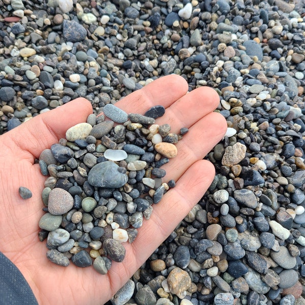 Beach pebbles, fill your pockets with pebbles, beach stones, tiny rocks, tiny stones bulk, aquarium stones, terrarium stones, fairy garden