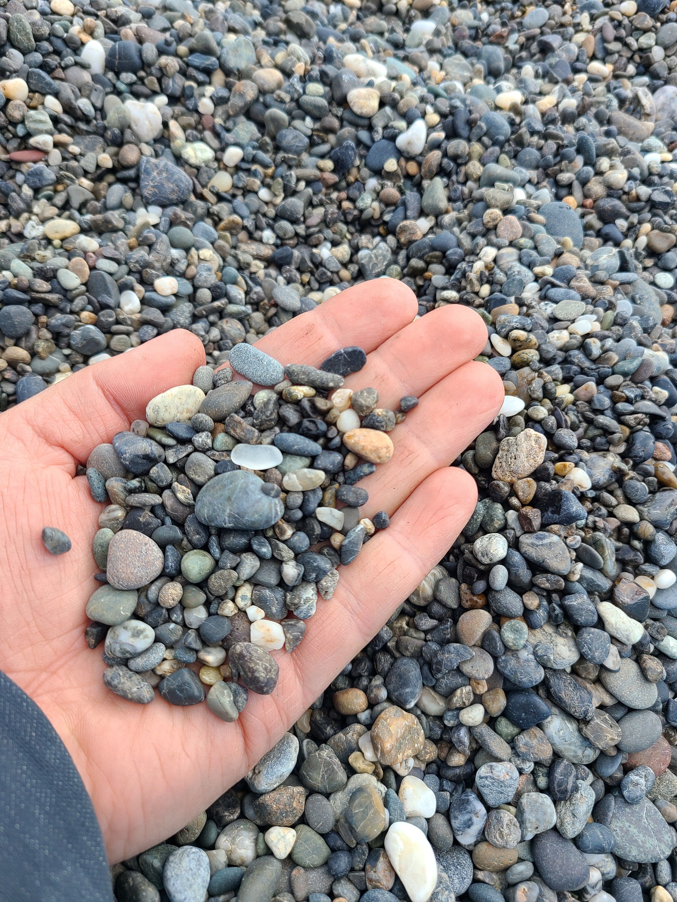 60 Grey/brown Flat Rocks, 2 Inchs to 3 Inches Flat Medium Rocks, Cairn  Stones, PNW, Wedding Stone, Beach Rocks, Mother Nature,ooak,rock 