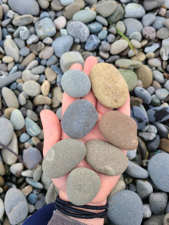 50 Grey/brown Flat Rocks, 1 Inch to 2 Inch Flat Stones, Cairn