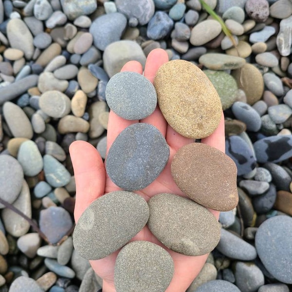 Free shipping 50 flat rocks, 1 inch to 2 inch flat stones, cairn stones, PNW, wedding stone, beach rocks, mother nature,ooak,rock engraving