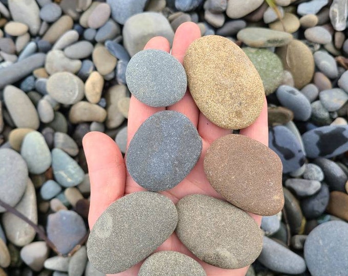 50 Grey/brown Flat Rocks, 1 Inch to 2 Inch Flat Stones, Cairn Stones