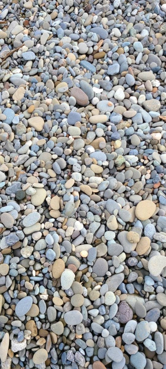 100 Grey/brown Flat Rocks, 1 Inch to 2 Inch Flat Stones, Cairn