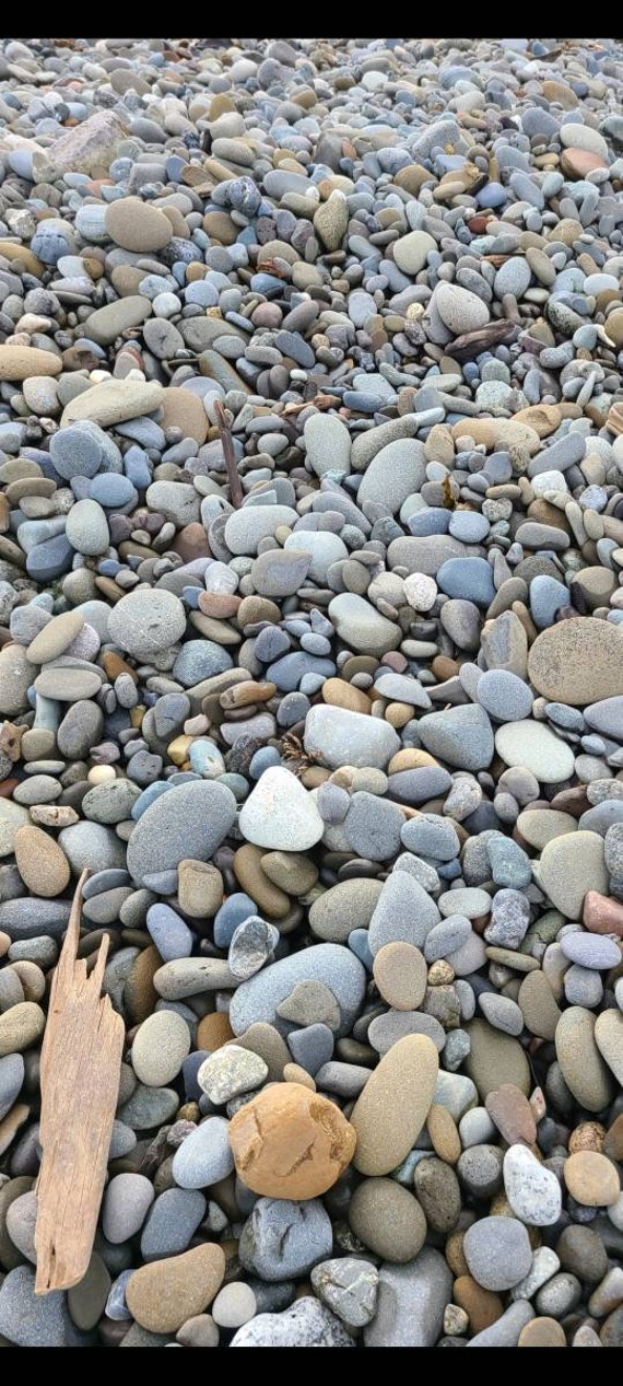 60 Grey/brown Flat Rocks, 2 Inchs to 3 Inches Flat Medium Rocks