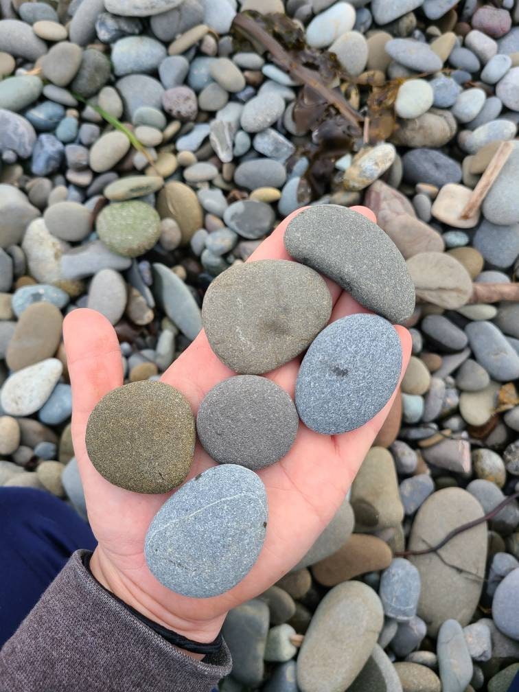 100 Grey/brown Flat Rocks, 1 Inch to 2 Inch Flat Stones, Cairn Stones,  Wedding Stone, Beach Rocks, Mother Nature, Painting Stones 