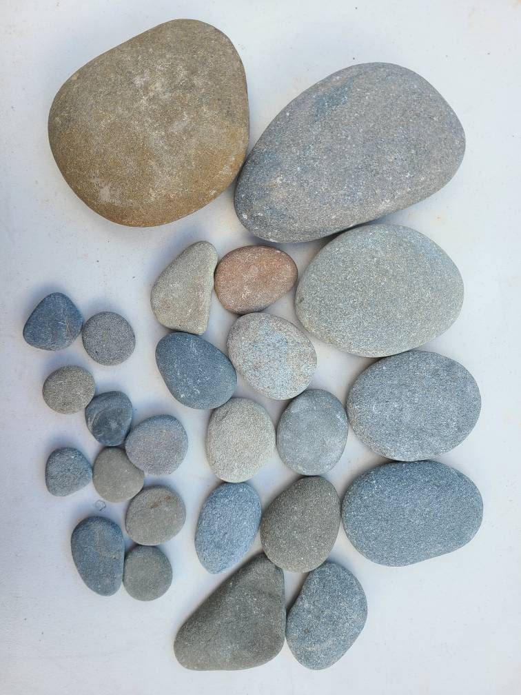 Large 40grey/brown Flat Rocks, 3 Inchs to 4 Inches Flat Medium Rocks, Cairn  Stones, PNW, Wedding Stone, Beach Rocks, Mother Nature,ooak,rock 