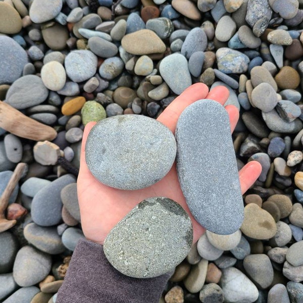 30 flat rocks, 2 inchs to 3 inches flat medium rocks, cairn stones, PNW, wedding stone, beach rocks, mother nature,ooak,rock