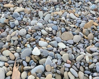 Free shipping 10 grey/brown flat rocks, 2 inchs to 3 inches flat medium rocks, cairn stones, PNW, wedding stone, beach rocks, mother nature
