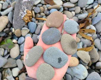 100 grey/brown flat rocks, 1 inch to 2 inch  Flat stones, cairn stones, wedding stone, beach rocks, mother nature, painting stones