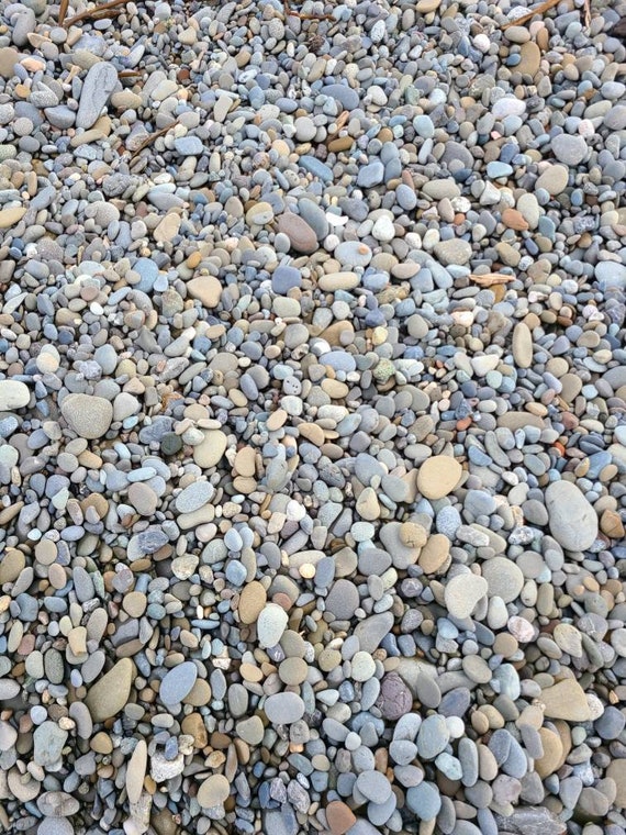 60 Grey/brown Flat Rocks, 2 Inchs to 3 Inches Flat Medium Rocks, Cairn  Stones, PNW, Wedding Stone, Beach Rocks, Mother Nature,ooak,rock 