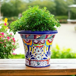 FRIEDA - Pot de fleurs Mexique, design coloré, céramique émaillée, 100 % peint à la main, pot de fleurs coloré de l'artisanat Talavera, 20 cm