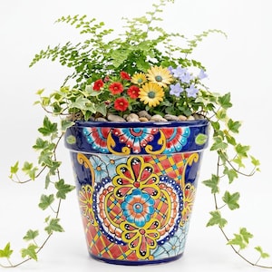 Può includere: Un vaso di fiori in ceramica dipinto a mano con un design colorato e intricato. Il vaso è riempito con una varietà di piante, tra cui fogliame verde, piccoli fiori rossi, gialli e blu e edera ricadente. Il vaso è alto circa 25 cm.