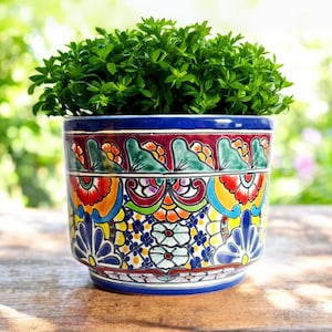 Può includere: Un'aiuola in ceramica dipinta a mano, piena di un rigoglioso fogliame verde. L'aiuola presenta un design colorato con motivi floreali rossi, blu, gialli e verdi. Il vaso misura circa 20 cm di diametro e 18 cm di altezza, perfetto per uso interno o esterno.